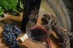 dingac peljesac wine