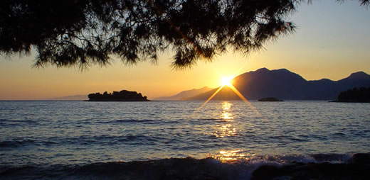 Discover secrets of Dalmatia with our private tours.
